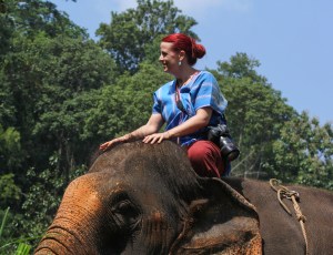 Enhanced Elephants-10