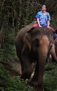 Enhanced Elephants-11