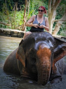 Enhanced Elephants-12