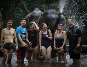 Enhanced Elephants-14