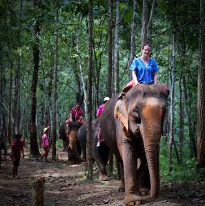 Enhanced Elephants-8