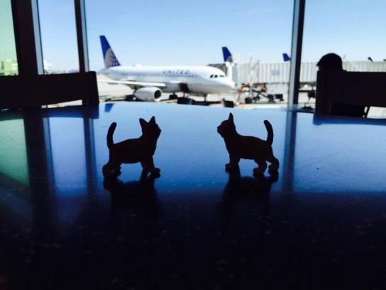 12002933_10152661164547465_2317351654076777651_n-beauty-of-flight