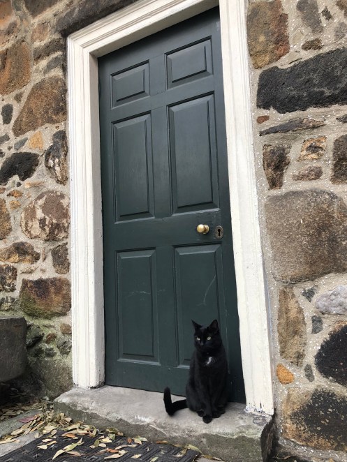 10ED68FC-3ACE-4E99-8695-9C0DC588CFCA