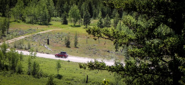 Glacier Accomodations (7 of 1)
