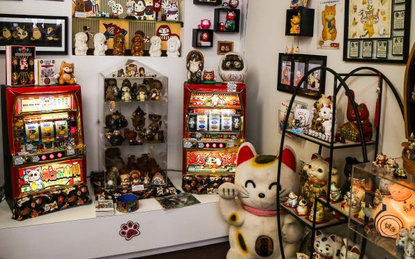 Cats Reduced Size (8 of 17)