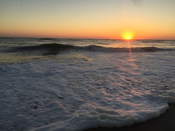 31042571-07F0-42E6-B4EA-D5F460D756DB