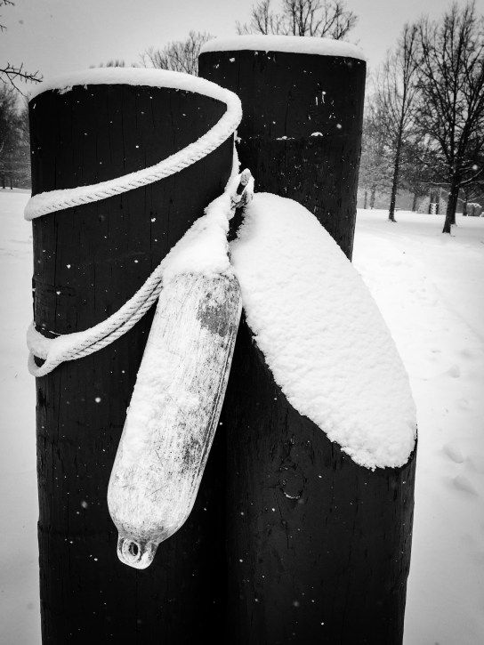 46E74271-8AAE-45CC-80B4-232511E40CFC