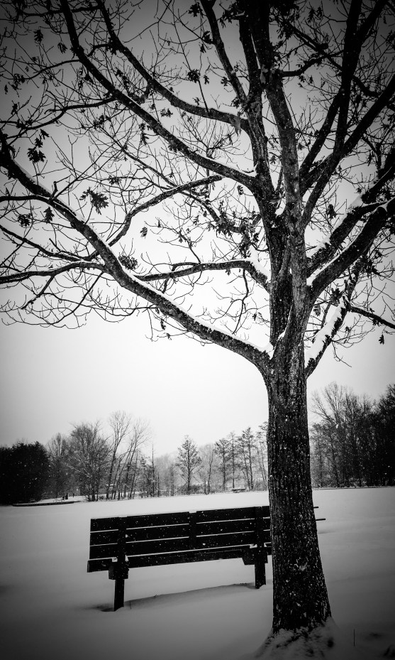 70DC3A1F-3177-455A-AB17-A30BFAF1B8E5