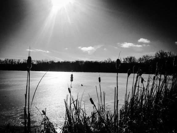 8DD21878-EFA9-42E1-8CBD-BDA11F833189