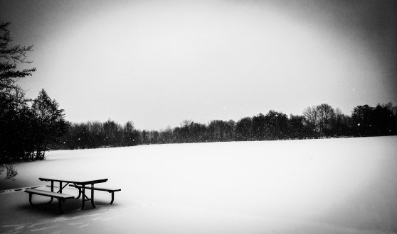 AD72009C-564A-4D97-80CC-006654F866D9