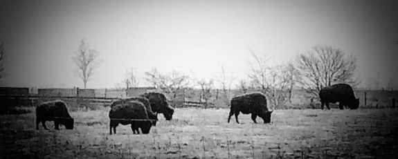 DE165075-2A22-42E1-AB39-4113099FBAFD