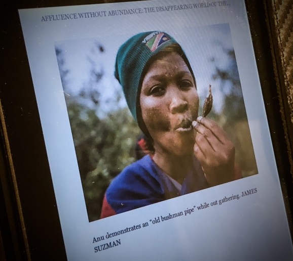 B540F9A2-52A4-4E7D-AE0A-E833DAD364E3