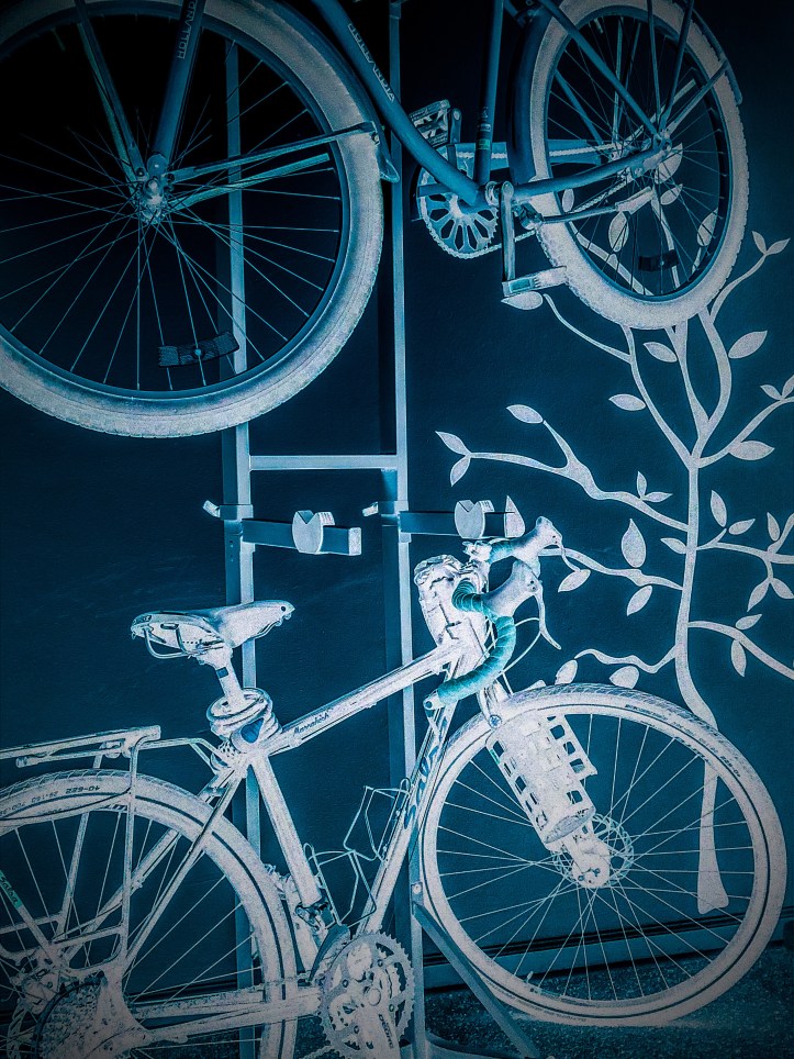 E55F8A7A-21FF-429E-9138-D9938103F42F