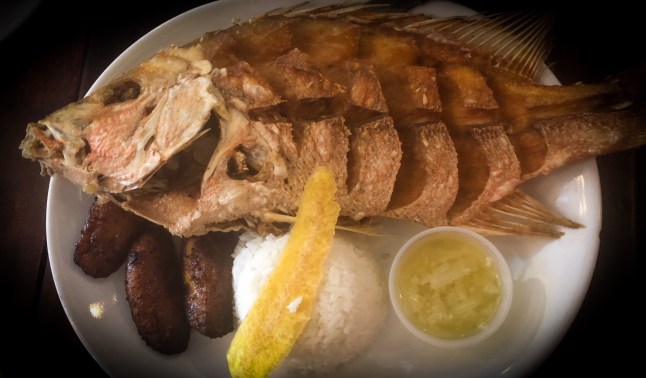 CEDF892D-9B0F-43A9-B1B0-52BE4D2C424C