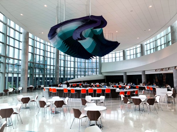 F69D1D2B-CA98-49A9-944E-935C111CDCB0