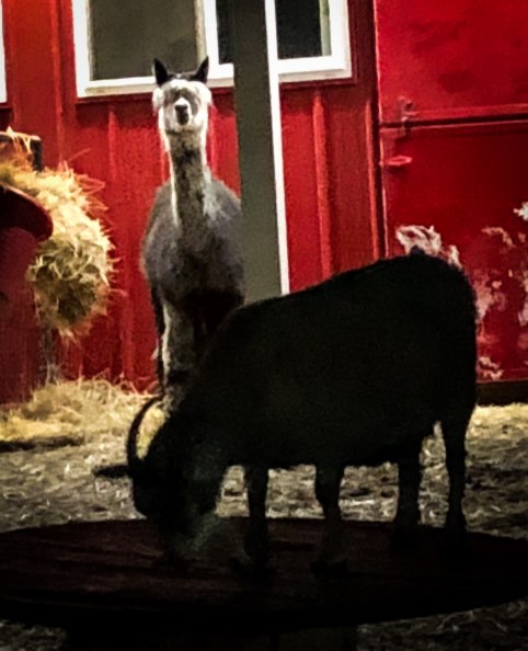 49E78581-0ABD-4A18-8791-878EDACB24E8