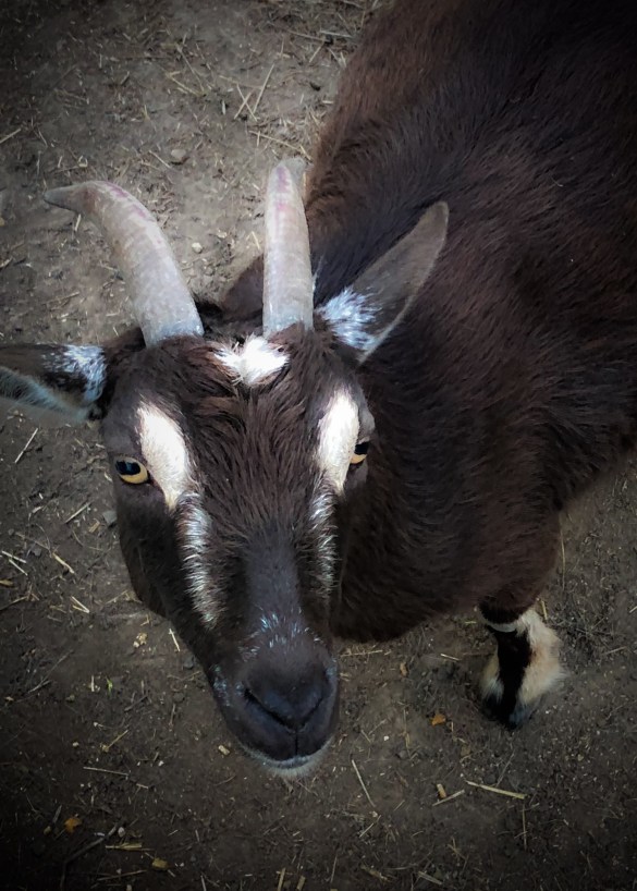 A1D5FE03-9B2B-4A0E-A5CE-2F96489FFEB0