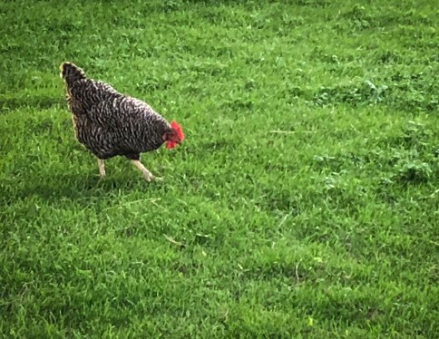 FA0EF403-BE31-46EA-AE65-D42A6A08616A