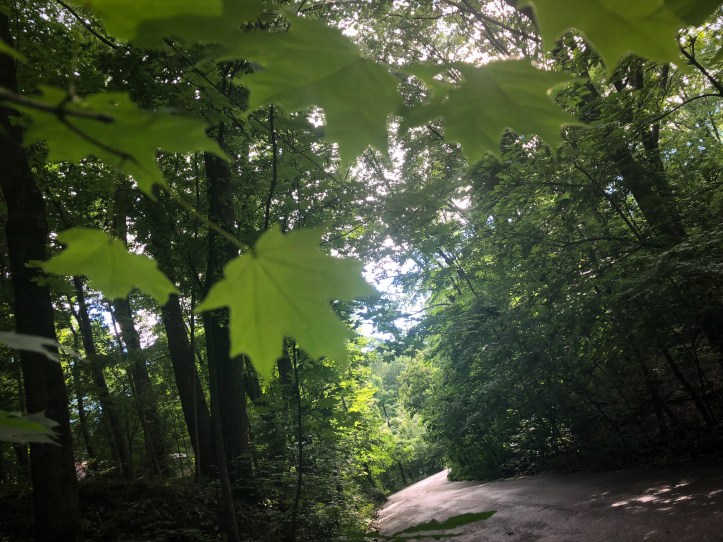 45B9E9A6-773E-44FF-935C-FC42FDEC917F