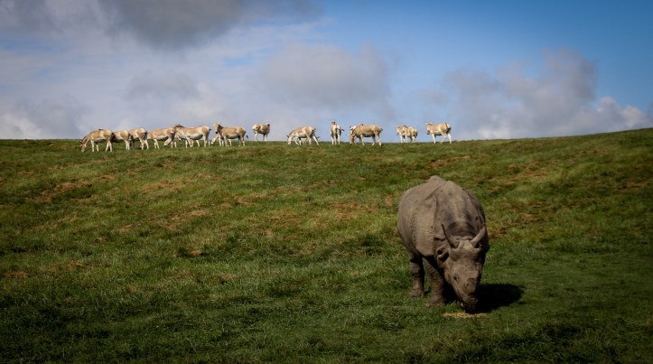 The Wilds 2018 (22 of 92)