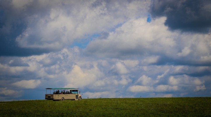 The Wilds 2018 (44 of 92)