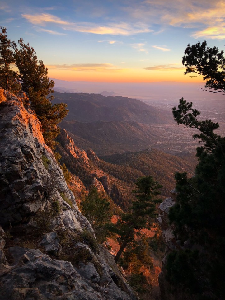 F403E56B-BA50-4960-8248-8804C0D08F7F