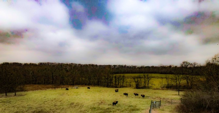 A5C9A26B-DF73-4F2B-945A-2A086A89AE60