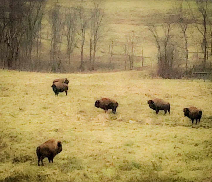 DC49F51A-2984-445D-8C26-45CE1539B10A