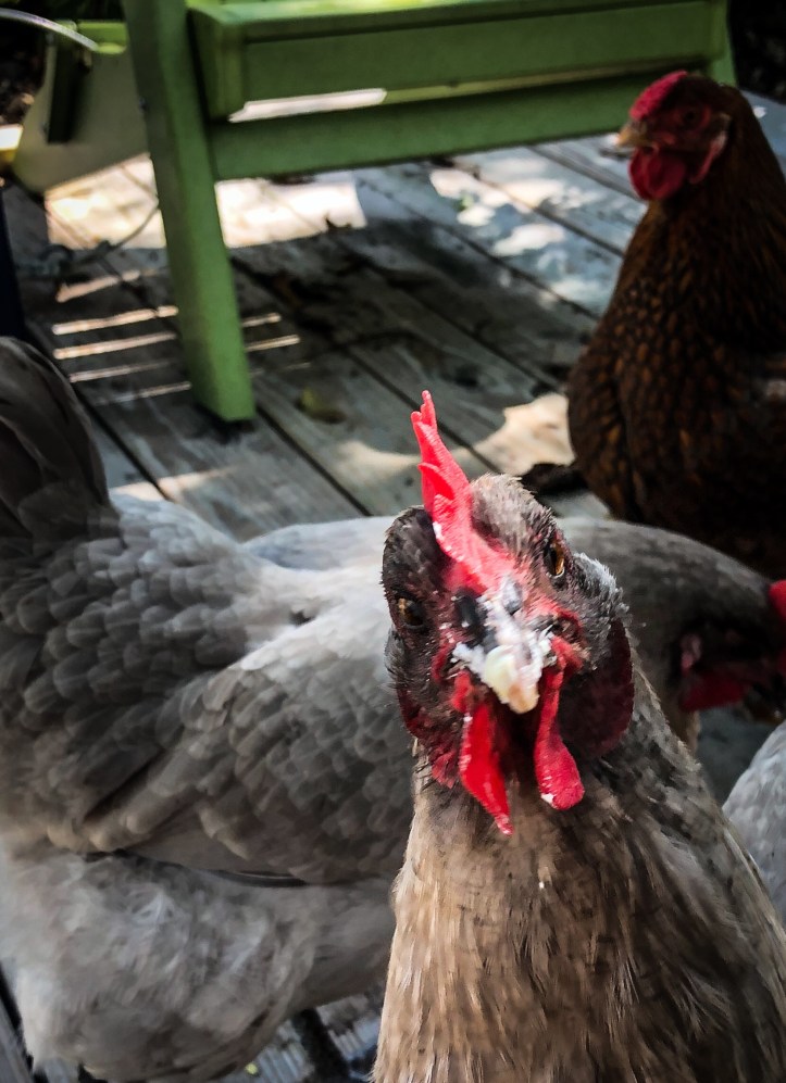 d9cb22e3-21bc-433f-b6de-2ecf8768136c