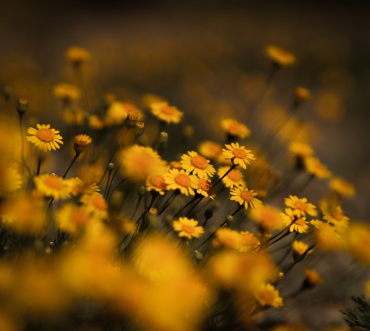 Let there be Light (13 of 1)