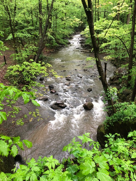 7D413DFE-E2A3-4EC0-A1EB-4F833125E9F2