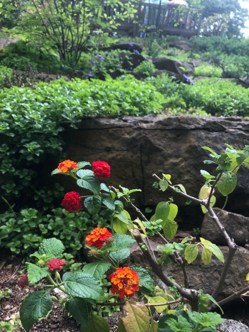 0FC54D14-8D36-4EDB-A96D-6CFAC1995392