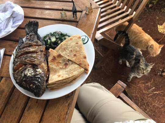 72466921_10155560341757465_481357050949926912_n