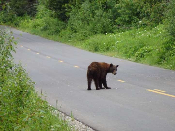 325670BA-27F4-429D-8A49-122BF52BB109