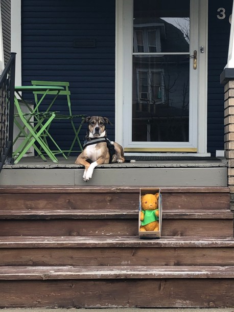 59A899F4-1653-4163-BA5A-63B4F7D47D68