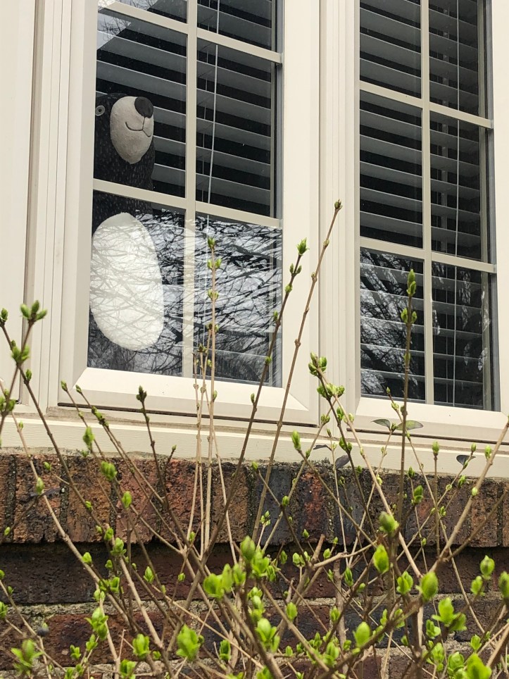 9C4F1542-2179-4E3C-B3D2-4E28559D5D06