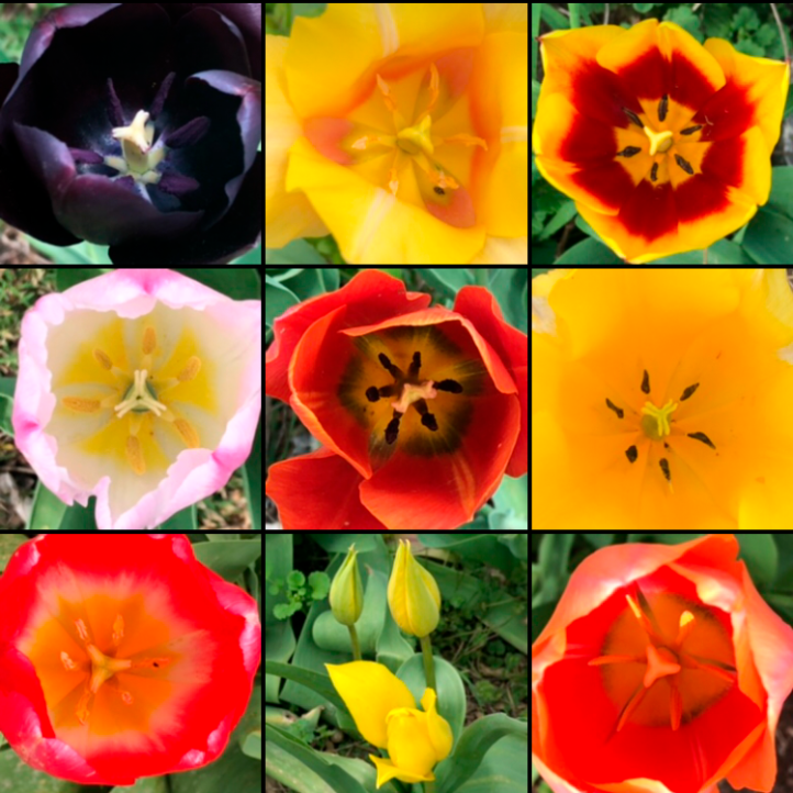 8E3E78E2-41CD-4071-9E3E-FFCC6CEDAC2C